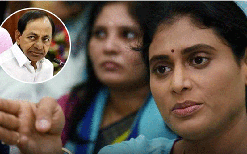 प्रजा प्रस्थानम पदयात्रा: वाईएस शर्मिला का आह्वान- “पैसा लो लेकिन वोट उसी को दो जो तुम्हारा साथ दें”