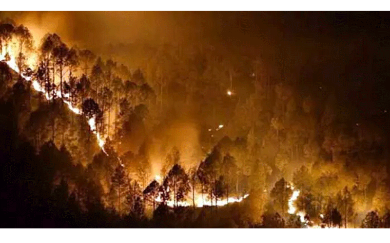 Fire Accident: नल्लामाला जंगल में लगी भीषण आग, मंत्री कोंडा सुरेखा ने दी यह प्रतिक्रिया
