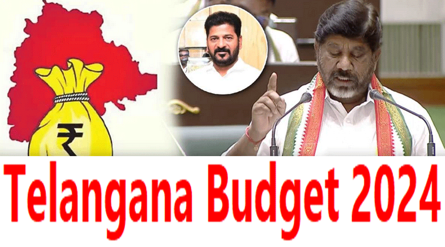 Telangana Assembly Budget 2024 Updade: तेलंगाना बजट 2.91 लाख करोड़, इस प्रकार है विभागवार आवंटन
