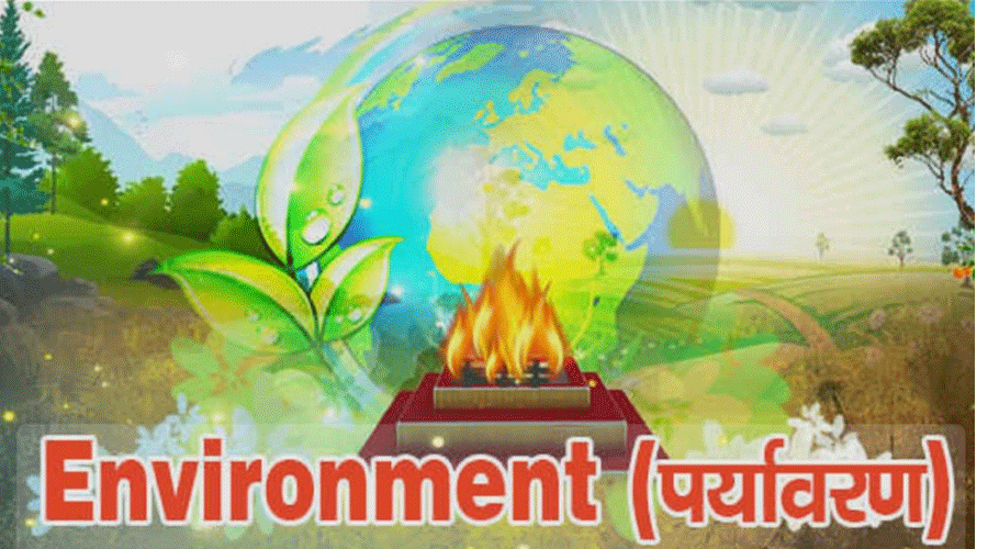 विशेष लेख- सनातन संस्कृति में पर्यावरण : एक परिचर्चा