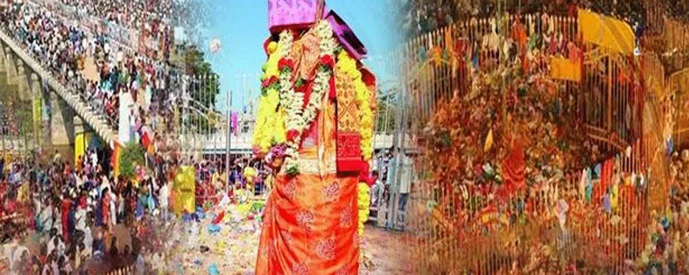 मेडारम सम्मक्का-सारलम्मा जातरा का आगाज, होने वाले हैं ये खास कार्यक्रम సమ్మక్క – సారలమ్మ మహాజాతర