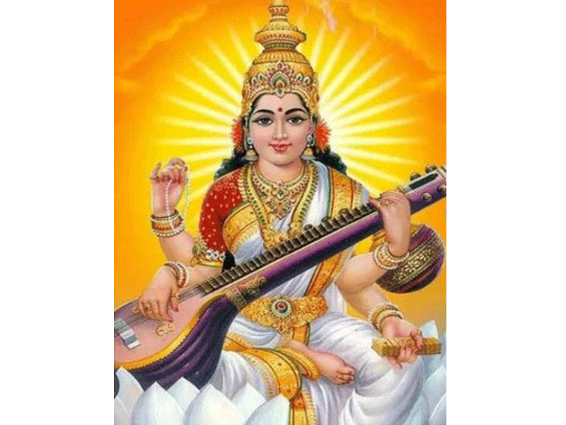 वीणा वादिनी साहित्यिक समिति की पहल, अंतरराष्ट्रीय मातृभाषा दिवस पर काव्य पाठ, सफल बनाने की अपील